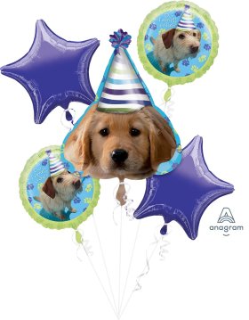 BOU:Party Pups Happy Birthday