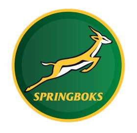 PL:Springboks Paper Plates 23cm 8