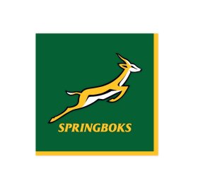 NA:Springboks Napkins 33cm 16