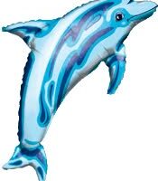 SS:Ocean Blue Dolphin