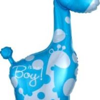 SS:Safari Baby Boy Giraffe