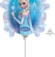 14:Disney Frozen