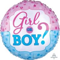 18:Gender Reveal