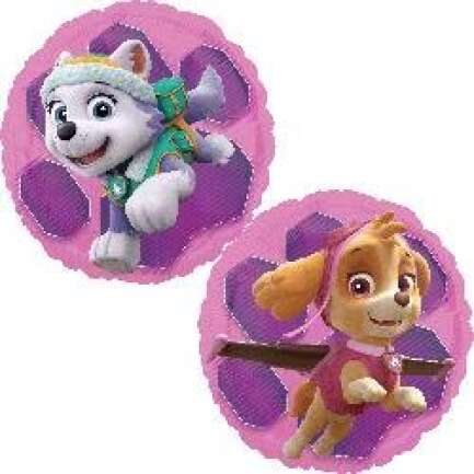 18:Paw Patrol Skye & Everest