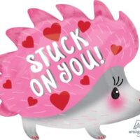 SS:Stuck On You Hedgehog