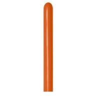 M260:MOD Fashion Solid Sunset Orange 100