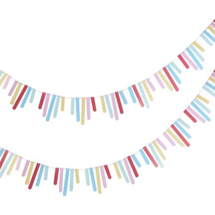 Multicoloured card Fringe Bunting