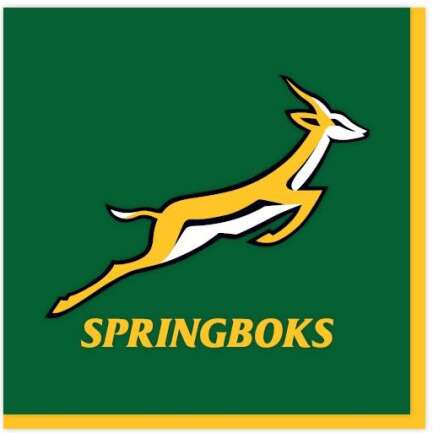 NA:Springboks Napkins 33cm 16