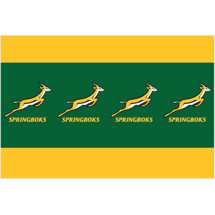 TC:Springboks Paper Tablecloth 180x120cm