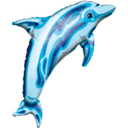 SS:Ocean Blue Dolphin