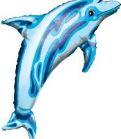 14:Ocean Blue Dolphin