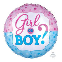 18:Gender Reveal