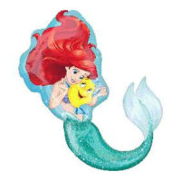 SS:Ariel Dream Big