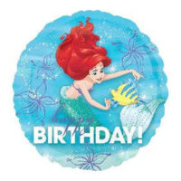 18:Ariel Dream Big Happy Birthday