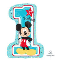 SS:Mickey 1st Birthday