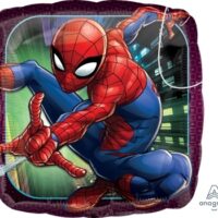 18:Square Spiderman Animated