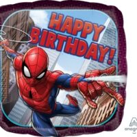 18:Square Spiderman Happy Birthday