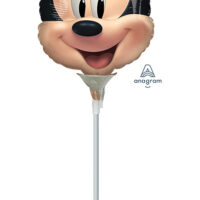 14:Mickey Mouse Forever Head