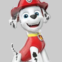 SS:Paw Patrol Marshall