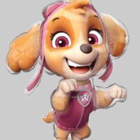 SS:Paw Patrol Skye