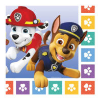 NA:Paw Patrol Napkins 33cm 16