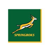 NA:Springboks Napkins 33cm 16