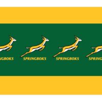 TC:Springboks Paper Tablecloth 180x120cm