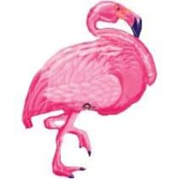 SS:Flamingo Beach
