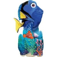 AIR:Finding Dory