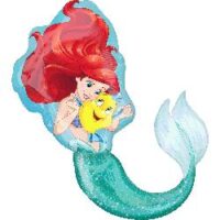 SS:Ariel Dream Big