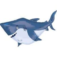 SS:Ocean Buddies Shark