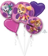 BOU:Paw Patrol Skye & Everest