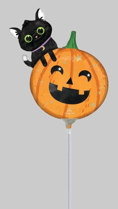 14:Halloweem Cat & Pumpkin