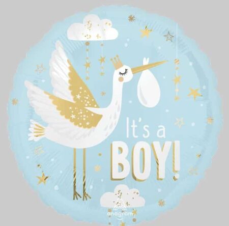 18:STN Special Delivery Baby Boy