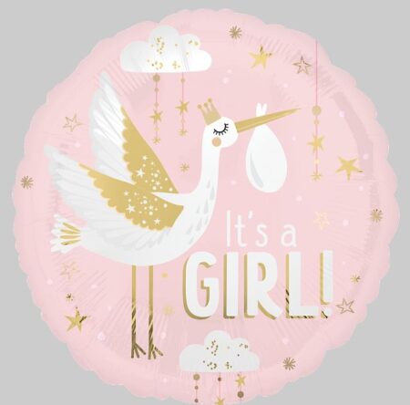 18:STN Special Delivery Baby Girl