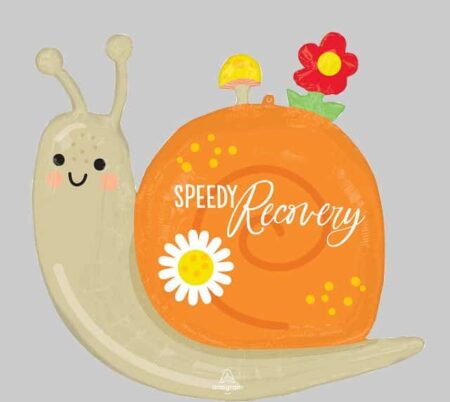 SS:Speedy Recovery