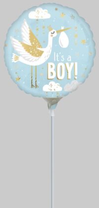 9:STN Special Delivery Baby Boy