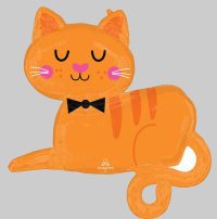 SS:Orange Tabby Cat