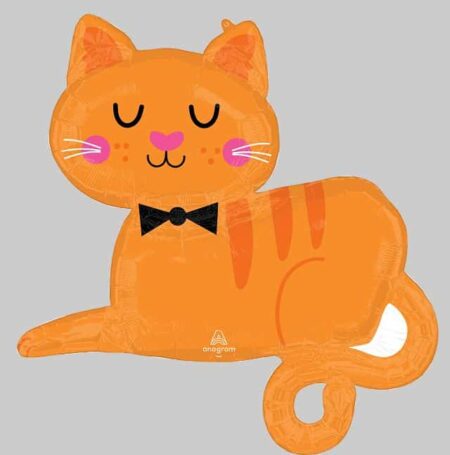 SS:Orange Tabby Cat