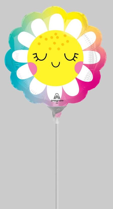 14:Happy Daisy