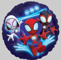 18:Spidey & His Amazing Friends(NON-PKG)