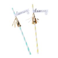 Paper Straws – Hooray & Tassel – Pastel