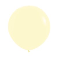 R24:Pastel Matte Yellow 3
