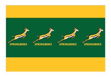 TC:Springboks Paper Tablecloth 180x120cm